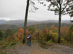 newfound gap road