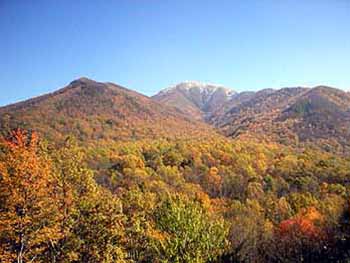 mt leconte on newfound gap road