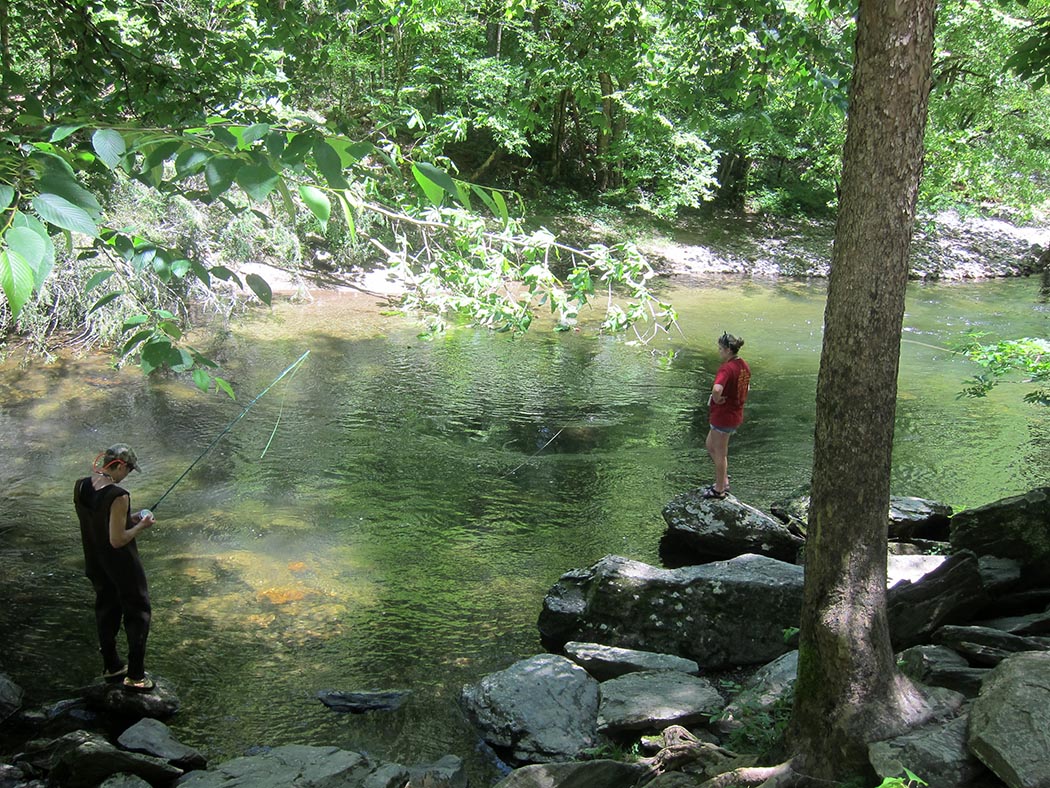 national park stream