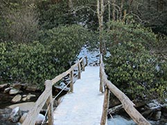 bridge in winter