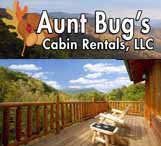 aunt bugs