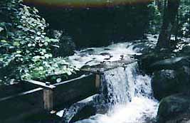 roaring fork motor nature trail