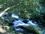 roaring fork river