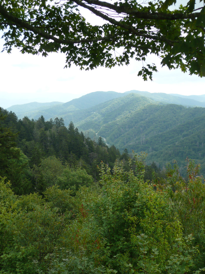 smoky mountains