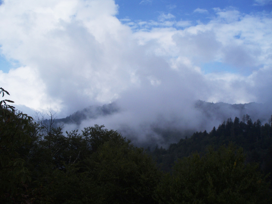 smoky mountain mist