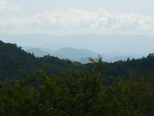 mountain mist