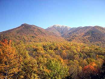 fall foliage smoky mountains