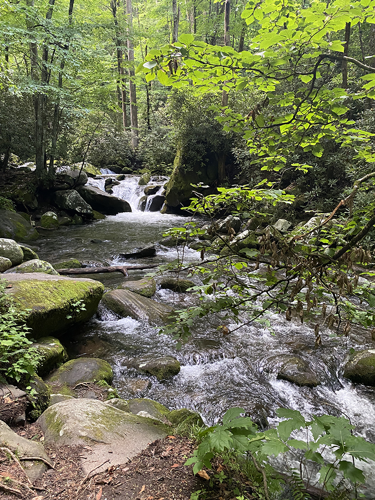 scenic drives smoky mountains