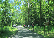 biking cades cove