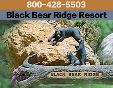 black bear ridge resort