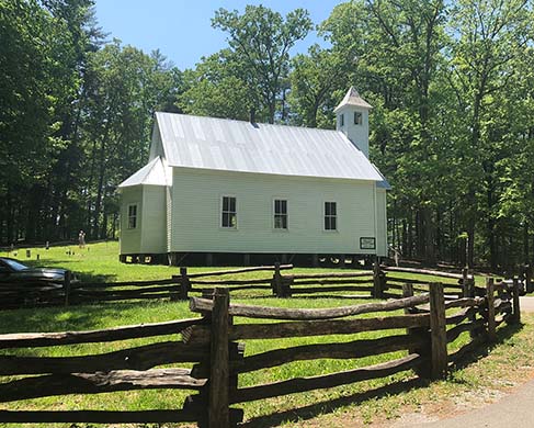 smoky mountain black bear