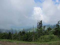 clingmans dome road