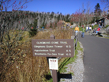 clingmans dome trail