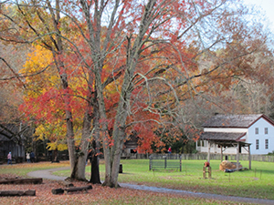 fall at cable mill