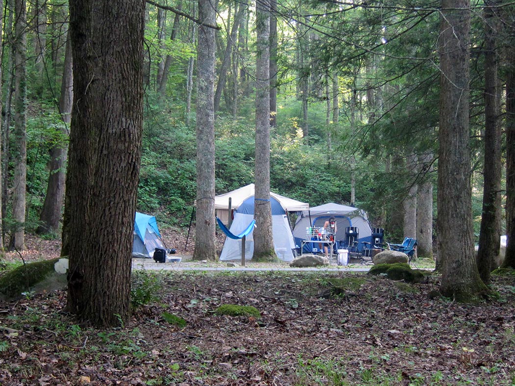 frontcountry camping great smoky mountains national park