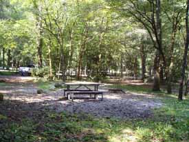 smokemont picnic area