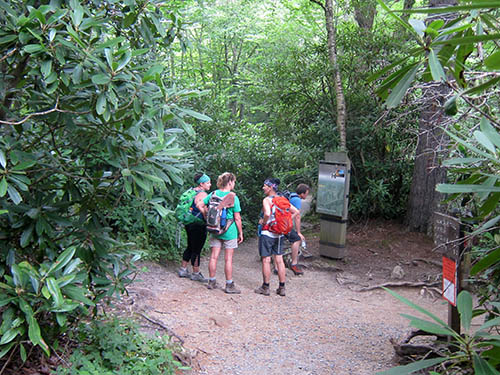 smoky mountain hiking