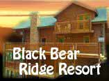 black bear ridge resort